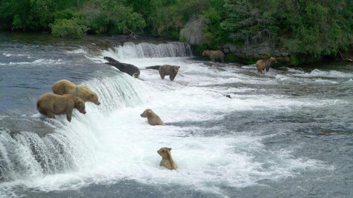 Bristol Bay Borough, Alaska — Denali
