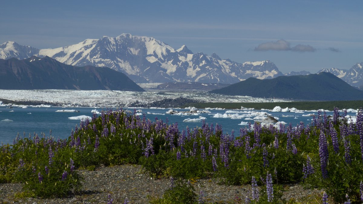 Yakutat City and Borough, Alaska — educational cover photo (regional illustration)