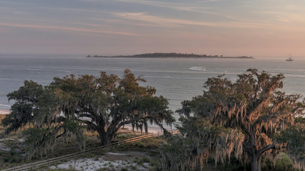 Alabama Gulf Coast and Mobile Bay (regional illustration)